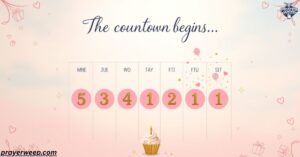 Birthday Countdown Quotes